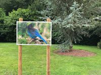 Eine Fotografie von Enno Dummer in der Fotoausstellung im Garten des Taubenhofs.